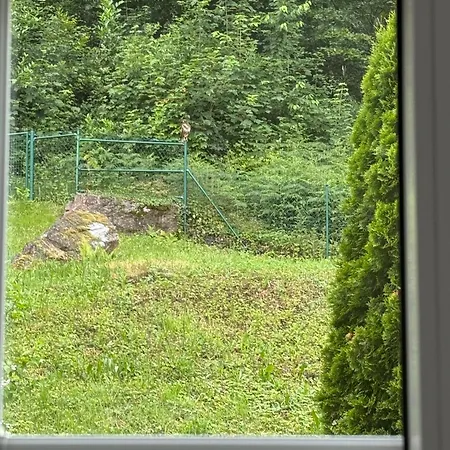 Hawk Appartement